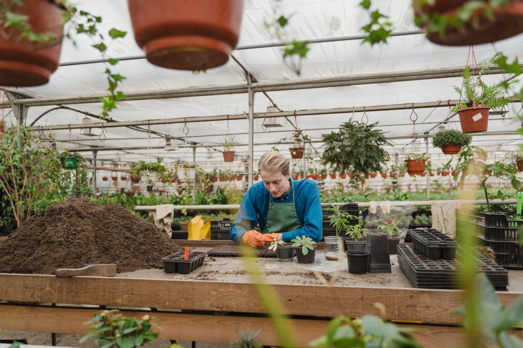 Kwekerij onder een zelf gebouwde tuinoverkapping